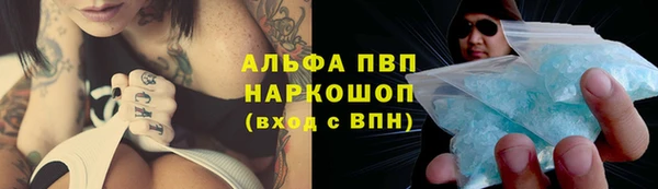 первитин Богданович