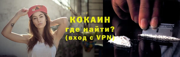 шишки Беломорск