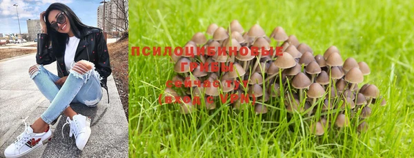 первитин Богданович