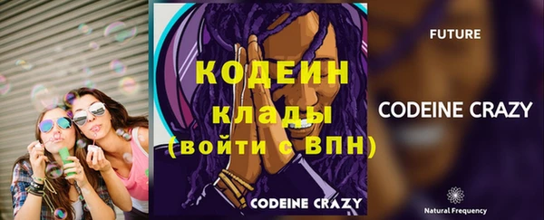 шишки Беломорск
